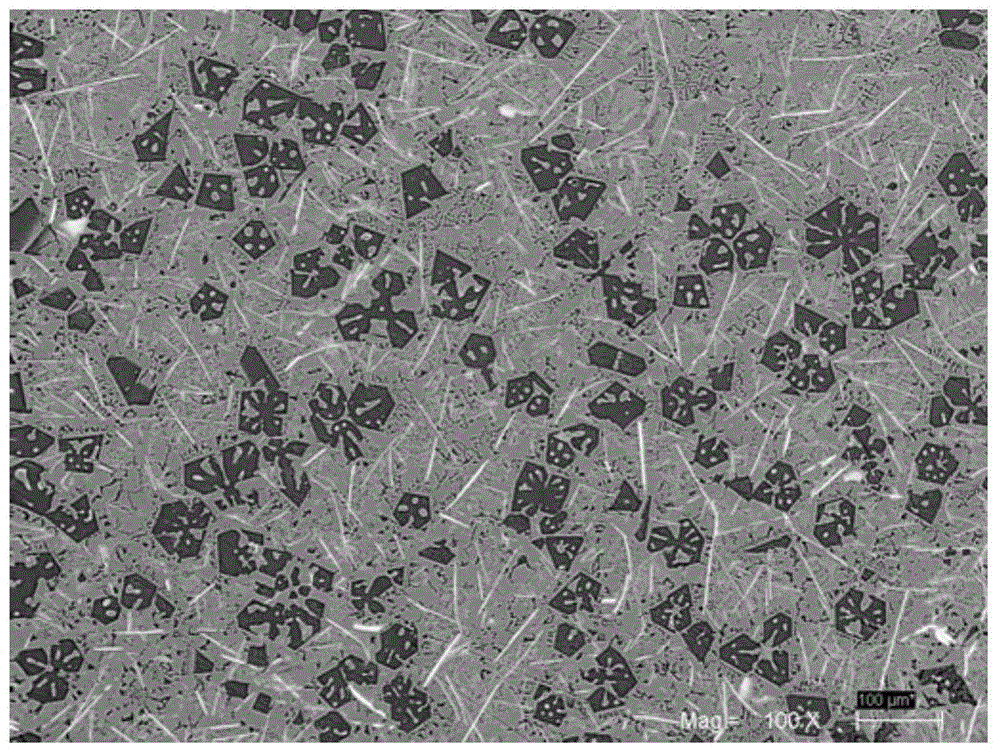 Combined treating method for modified Mg2Si/Fe-rich aluminum matrix composite texture