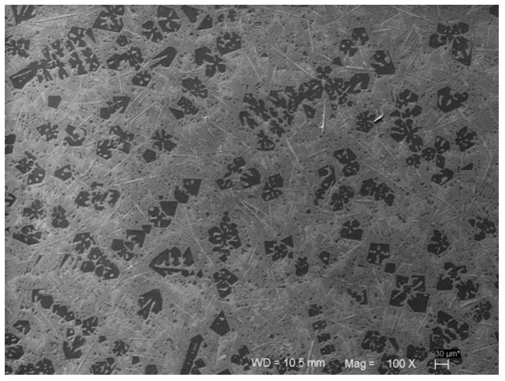 Combined treating method for modified Mg2Si/Fe-rich aluminum matrix composite texture