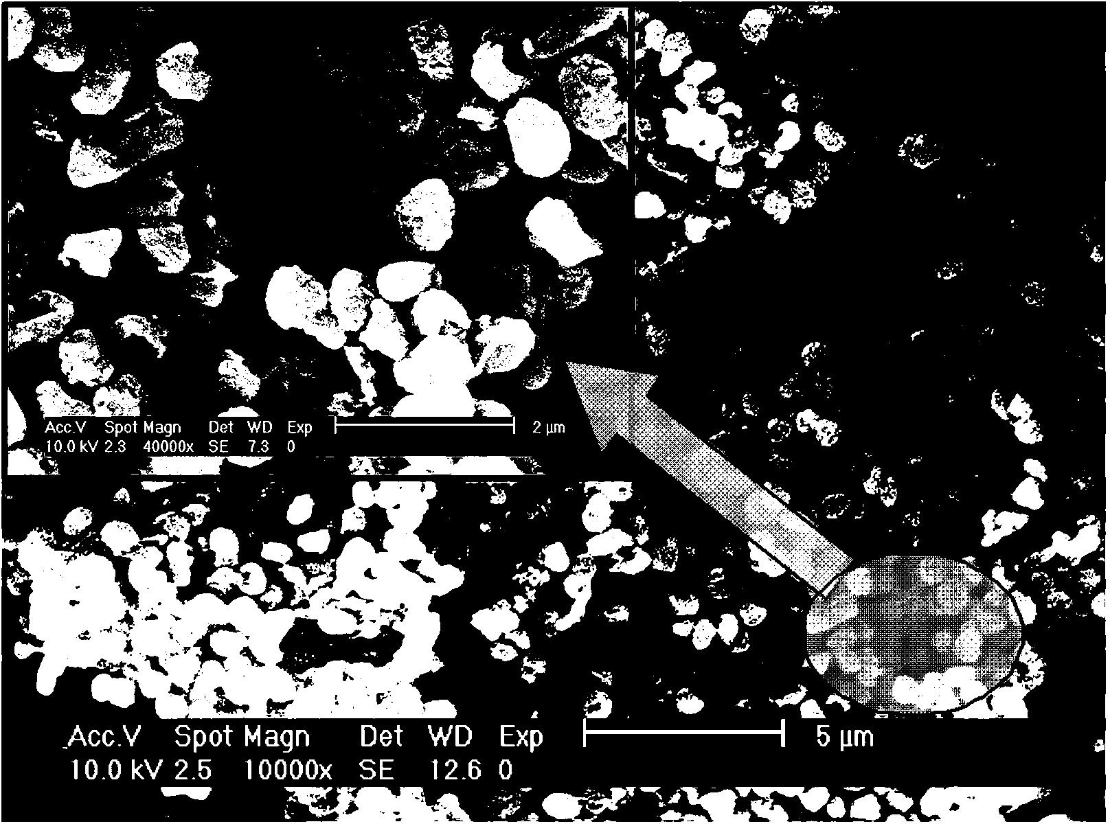 Facultative methanotroph capable of degrading chlorohydrocarbons, and its applications