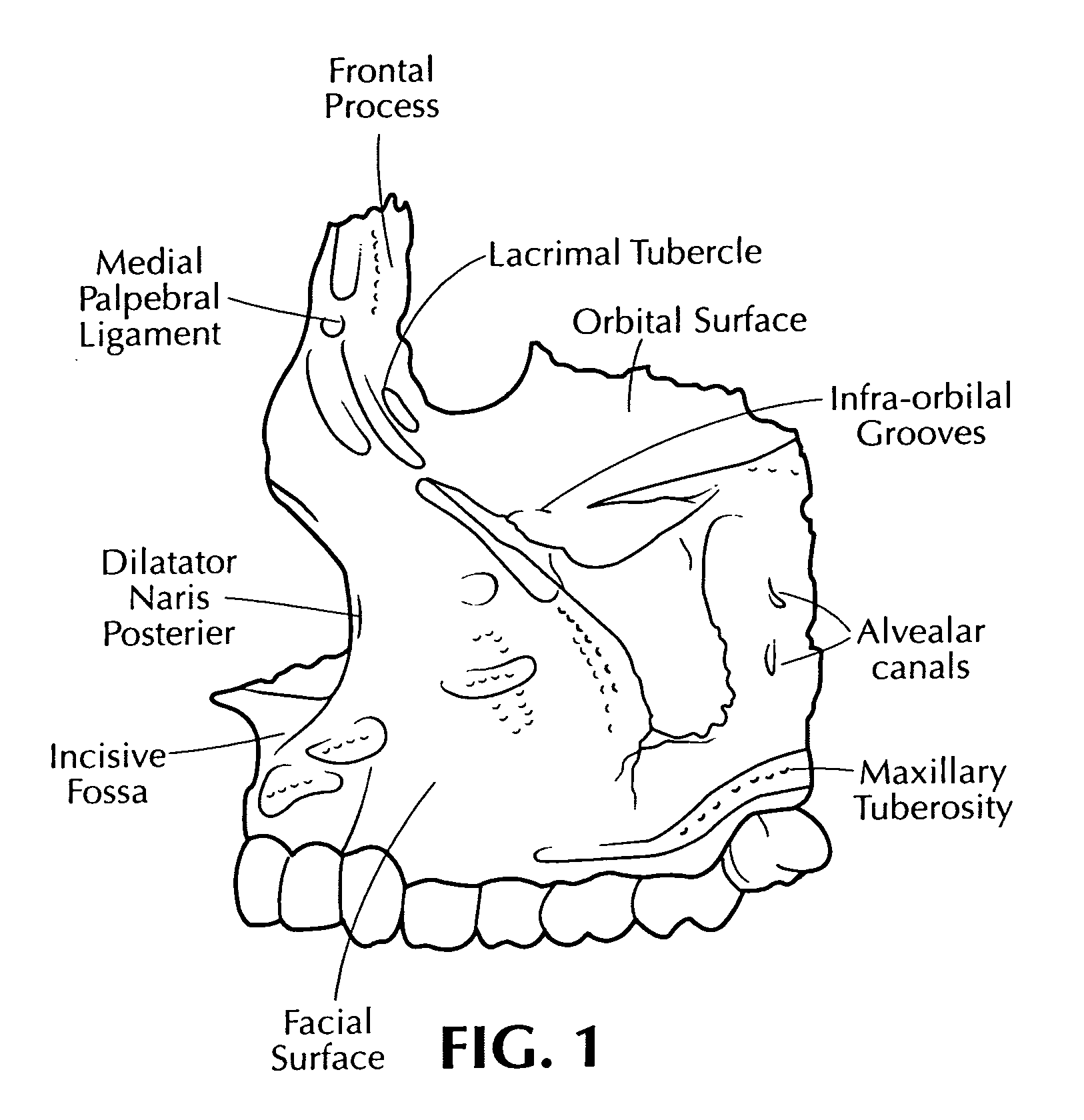 Training aid for a dental injection