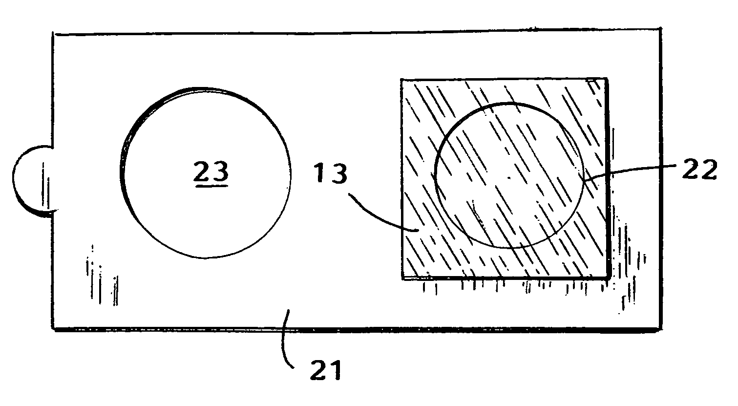 Body odor detection device