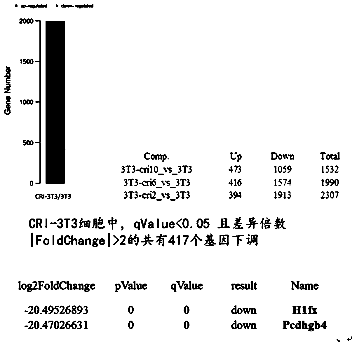 High-reactivity cell strain for detecting biologic activity of recombinant human epidermal growth factors