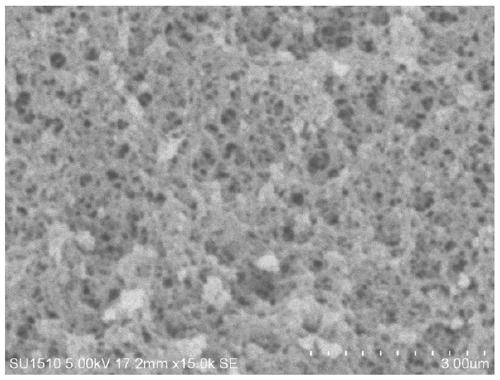 Phenyl boronic acid-based polymer carrier and applications in selective adsorption of saccharide-based substances