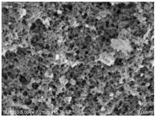 Phenyl boronic acid-based polymer carrier and applications in selective adsorption of saccharide-based substances