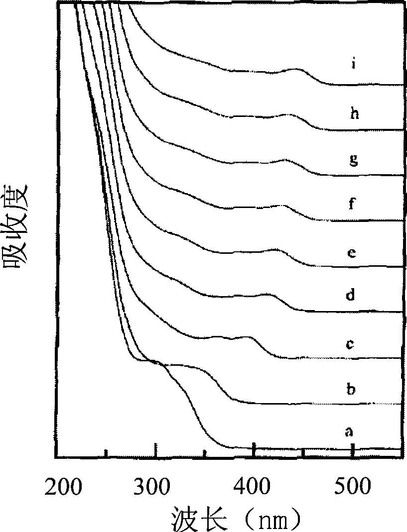 Nucleic acid sensor based on quantum dots and preparation method and detection method thereof