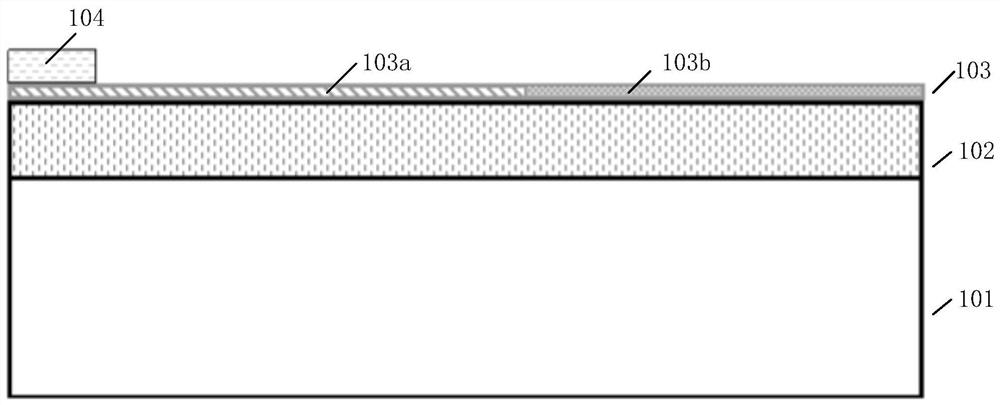 A polarized waveguide transmission coupling device and preparation method based on in-plane heterojunction