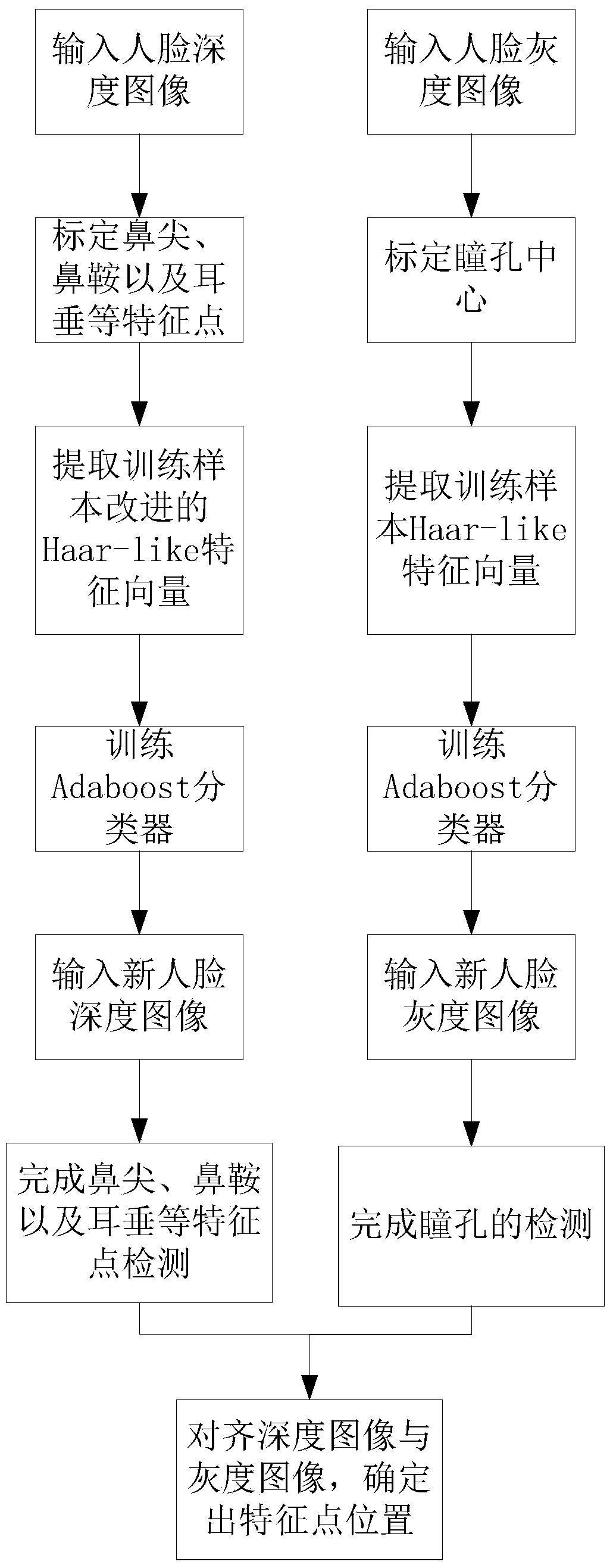 Head posture estimation interest point detection method fusing depth and gray scale image characteristic points