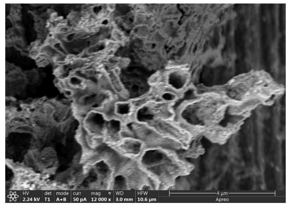 NiO/Au nanotube array flexible electrode with core-shell structure and application of NiO/Au nanotube array flexible electrode