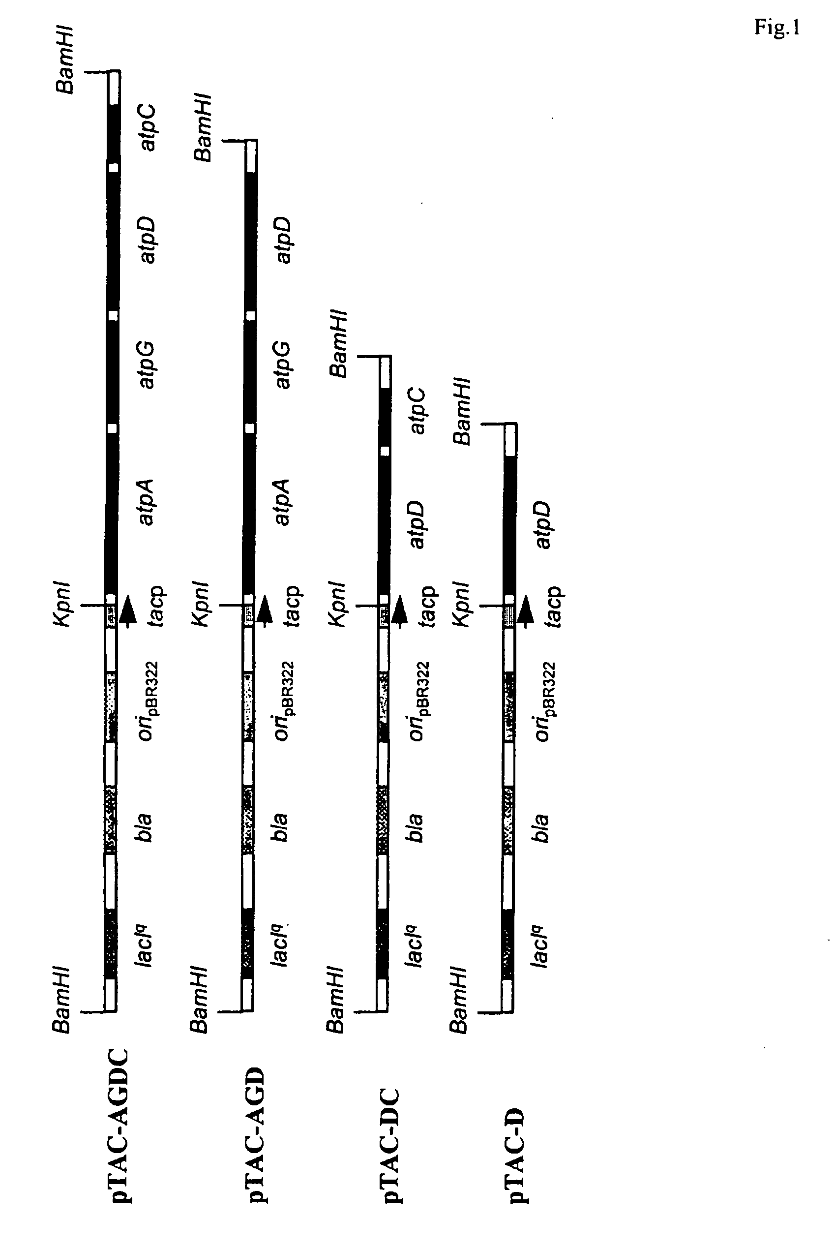 Method of improving the production of biomass or a desired product from a cell