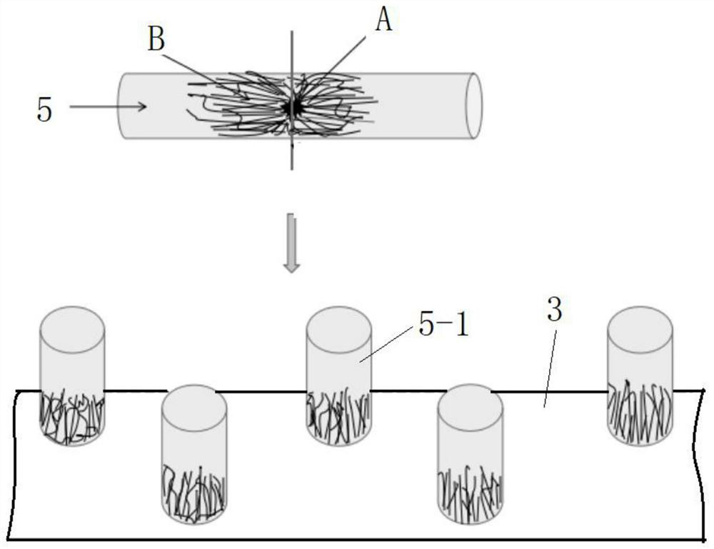 A new method for cultivating Morchella sporocarp without secondary nutrition bag