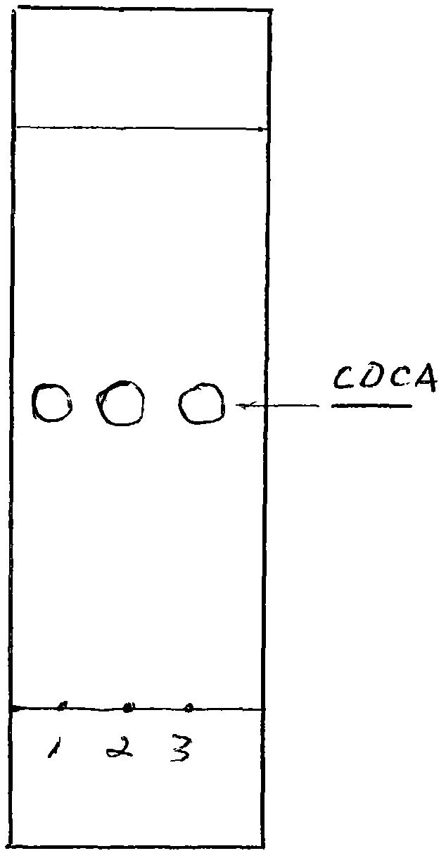 Method for preparing chenodeoxycholic acid and ursodesoxycholic acid by directly extracting and synthetizing from porcine bile paste or leftovers