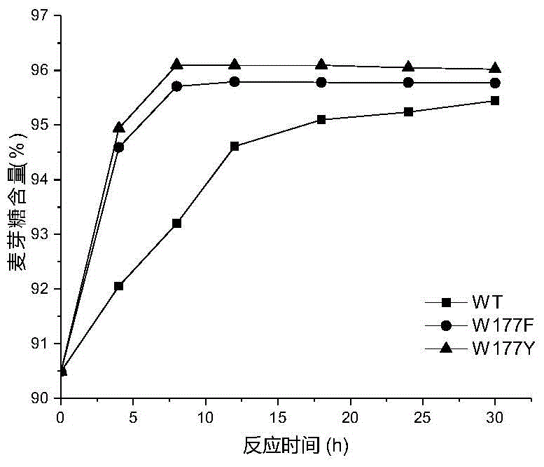 Mutant of maltogenic amylase and preparation method of mutant