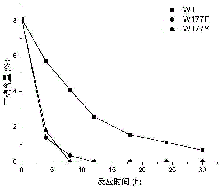 Mutant of maltogenic amylase and preparation method of mutant