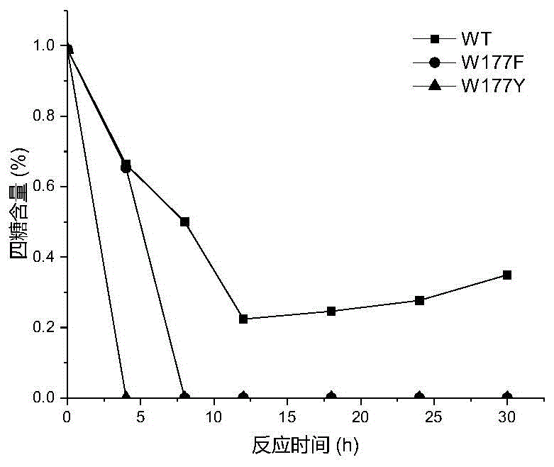 Mutant of maltogenic amylase and preparation method of mutant