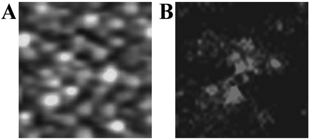 Microscopic analyzing device