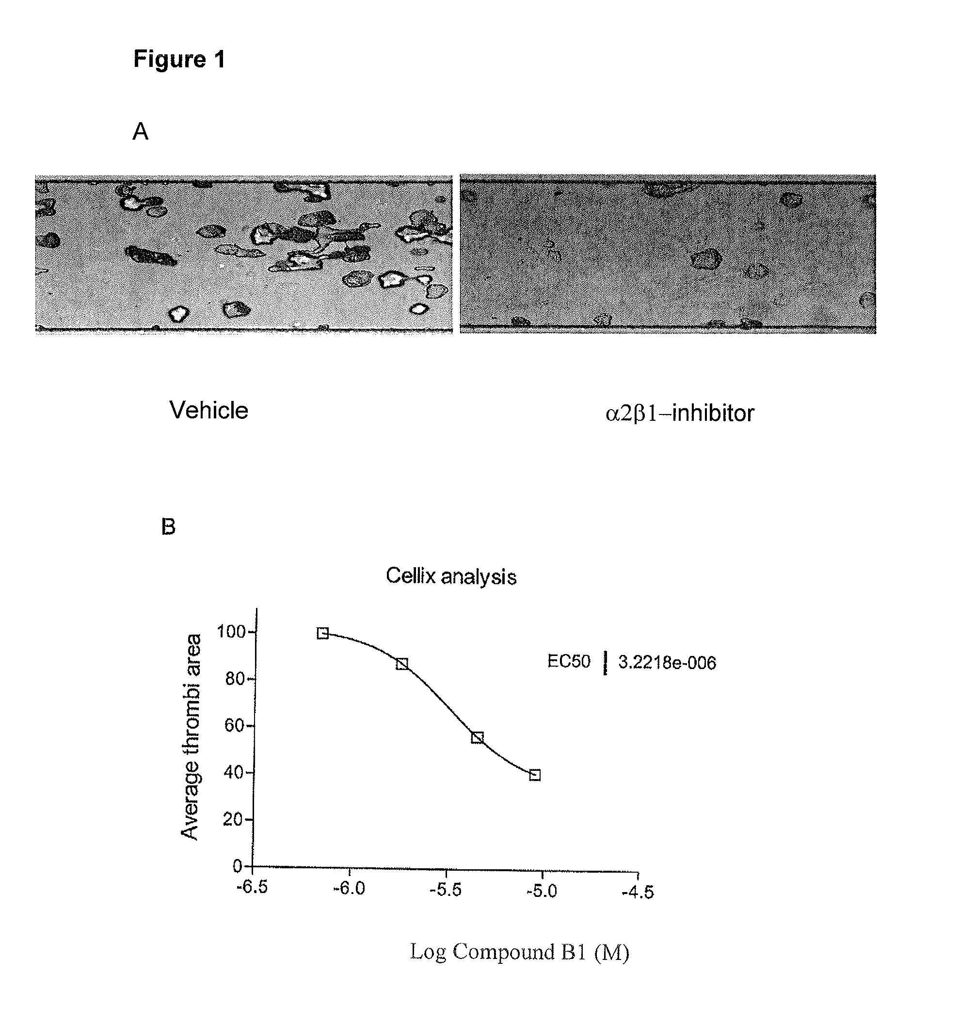 Urea substituted sulphonamide derivatives