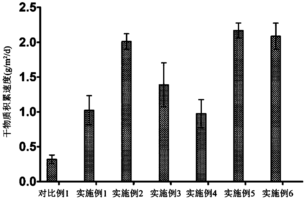 A kind of method that improves duckweed total starch yield by promoting dormant body formation