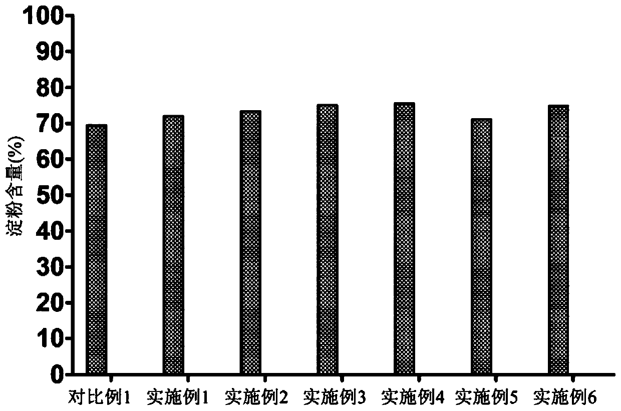 A kind of method that improves duckweed total starch yield by promoting dormant body formation