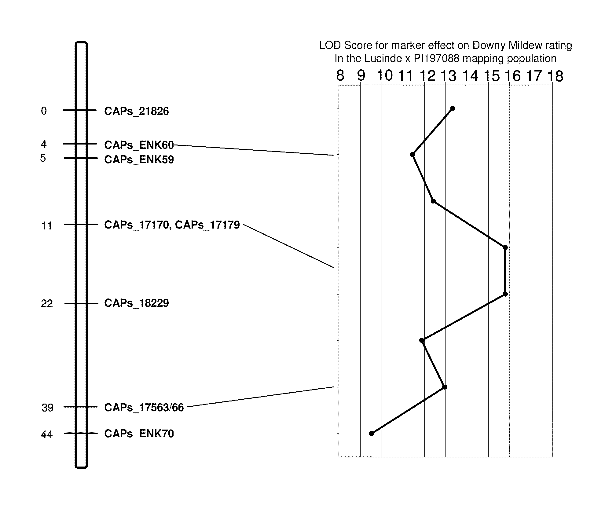 Methods and compositions for identifying downy mildew resistant cucumber plants