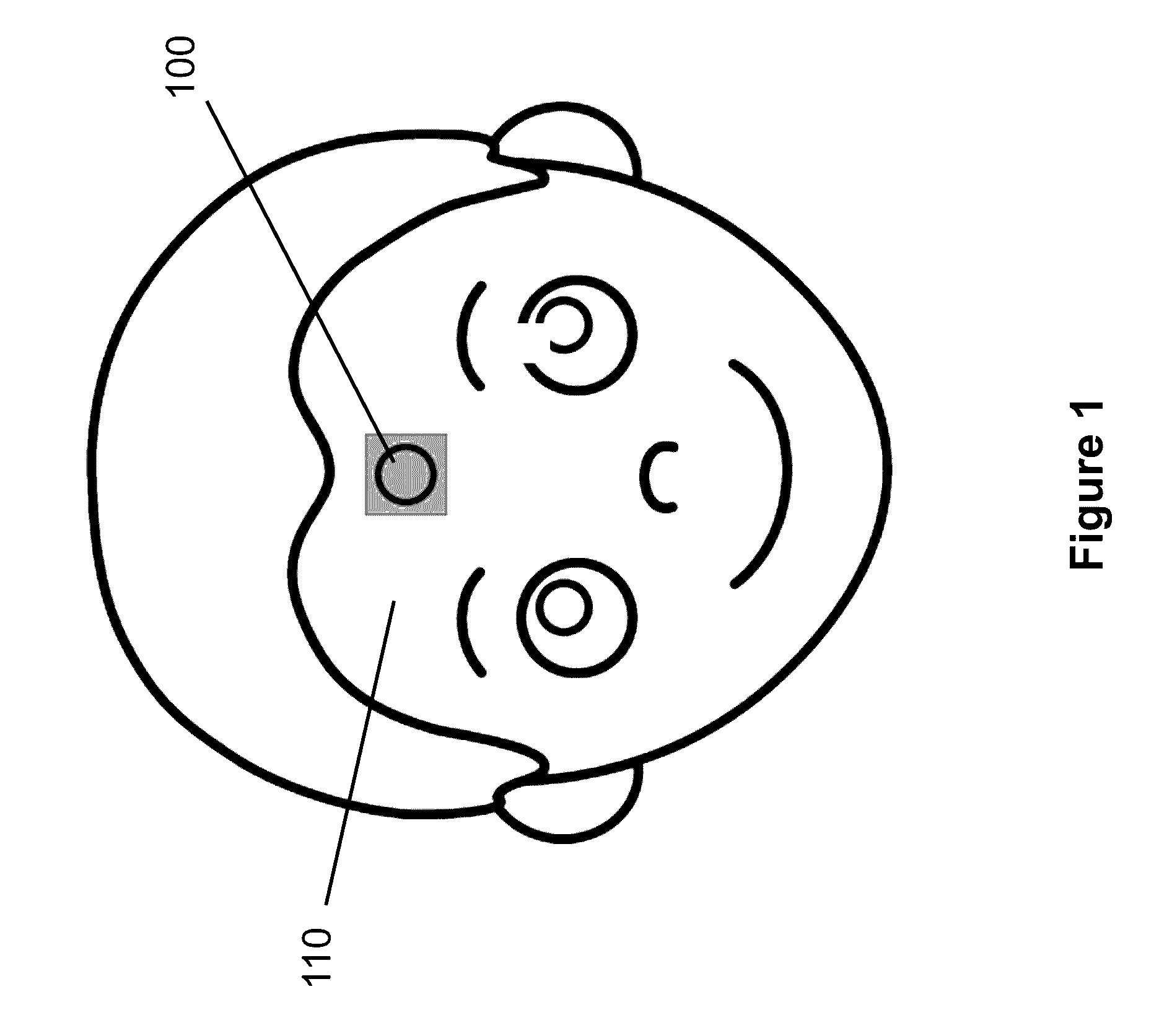 Highly compliant wearable wireless patch having stress-relief capability