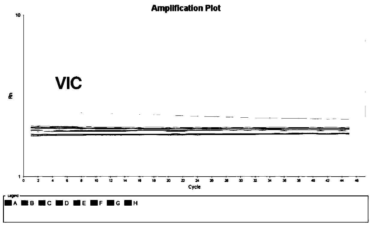 Hepatitis C virus nucleic acid detection sample treatment method