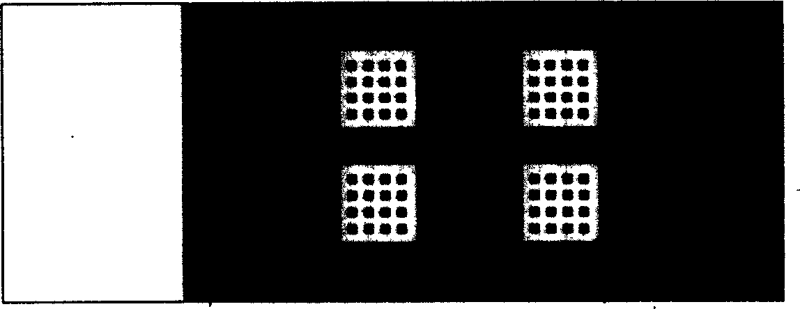 Protein chip for detecting blood and cerebro spinal fluid pathogen antibody, and its preparing method and use