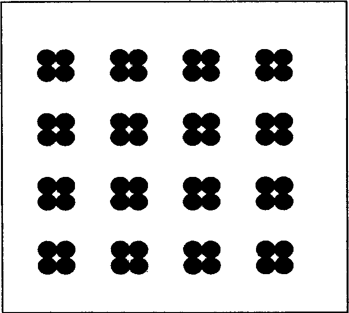 Protein chip for detecting blood and cerebro spinal fluid pathogen antibody, and its preparing method and use