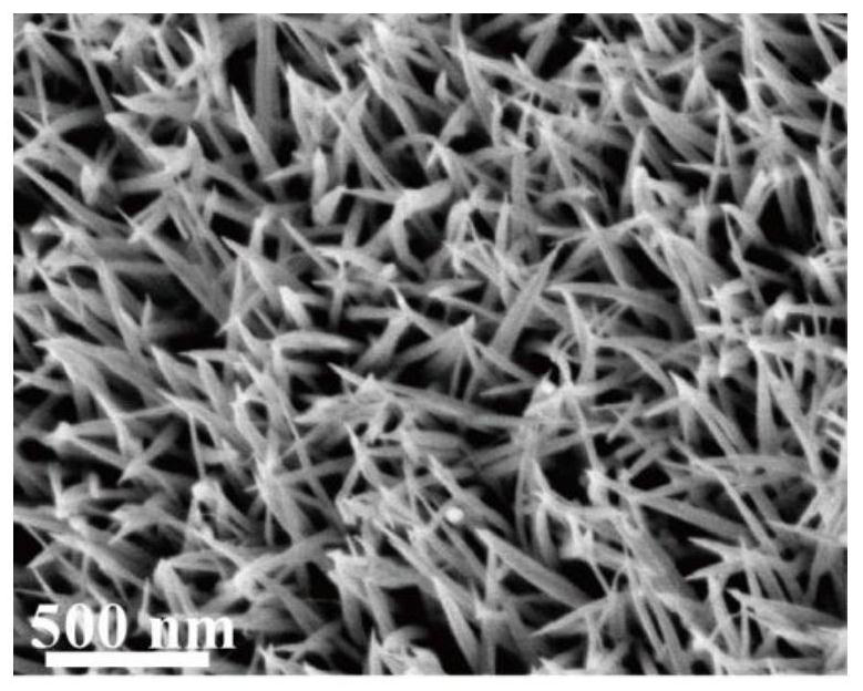 Bifunctional water decomposition nano material based on metal oxide and preparation method thereof