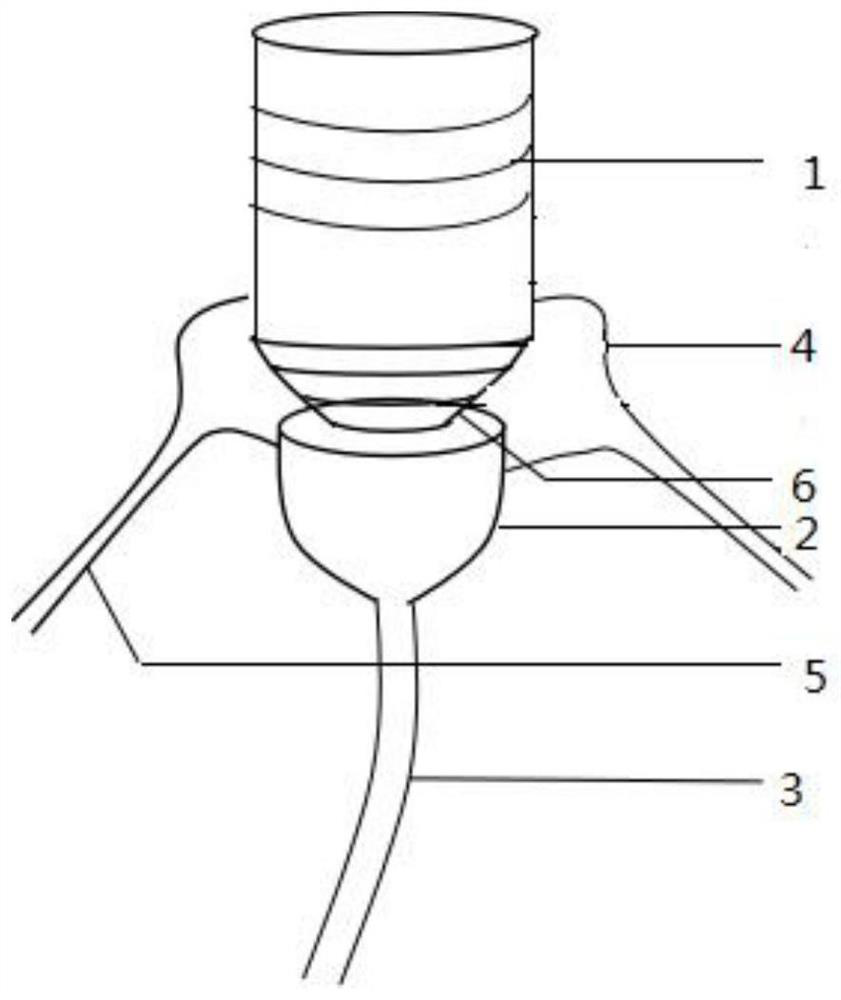 Experimental device for guiding directional growth of plant radicles and using method of experimental device