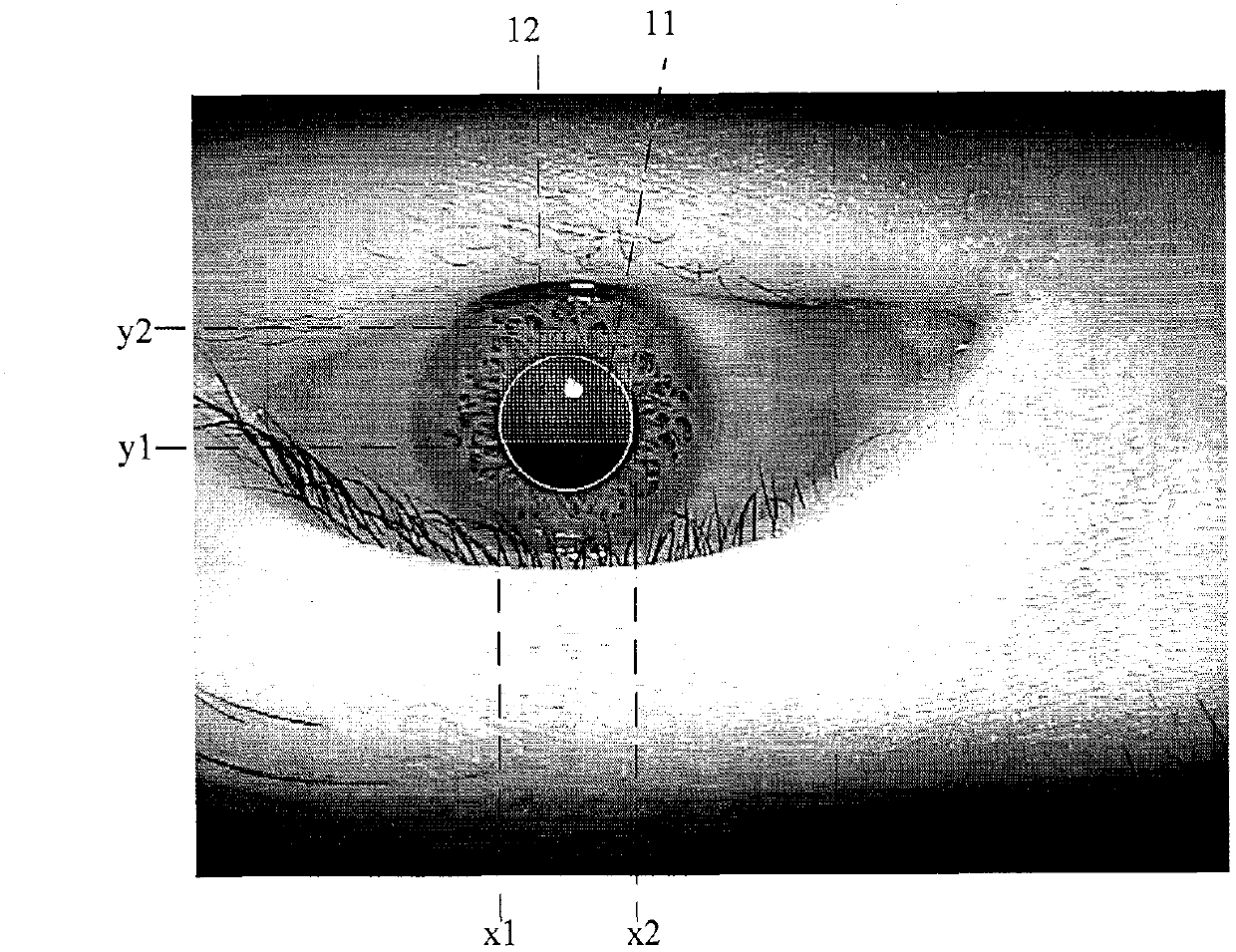 Rapid iris collecting, judging and controlling method for iris identification