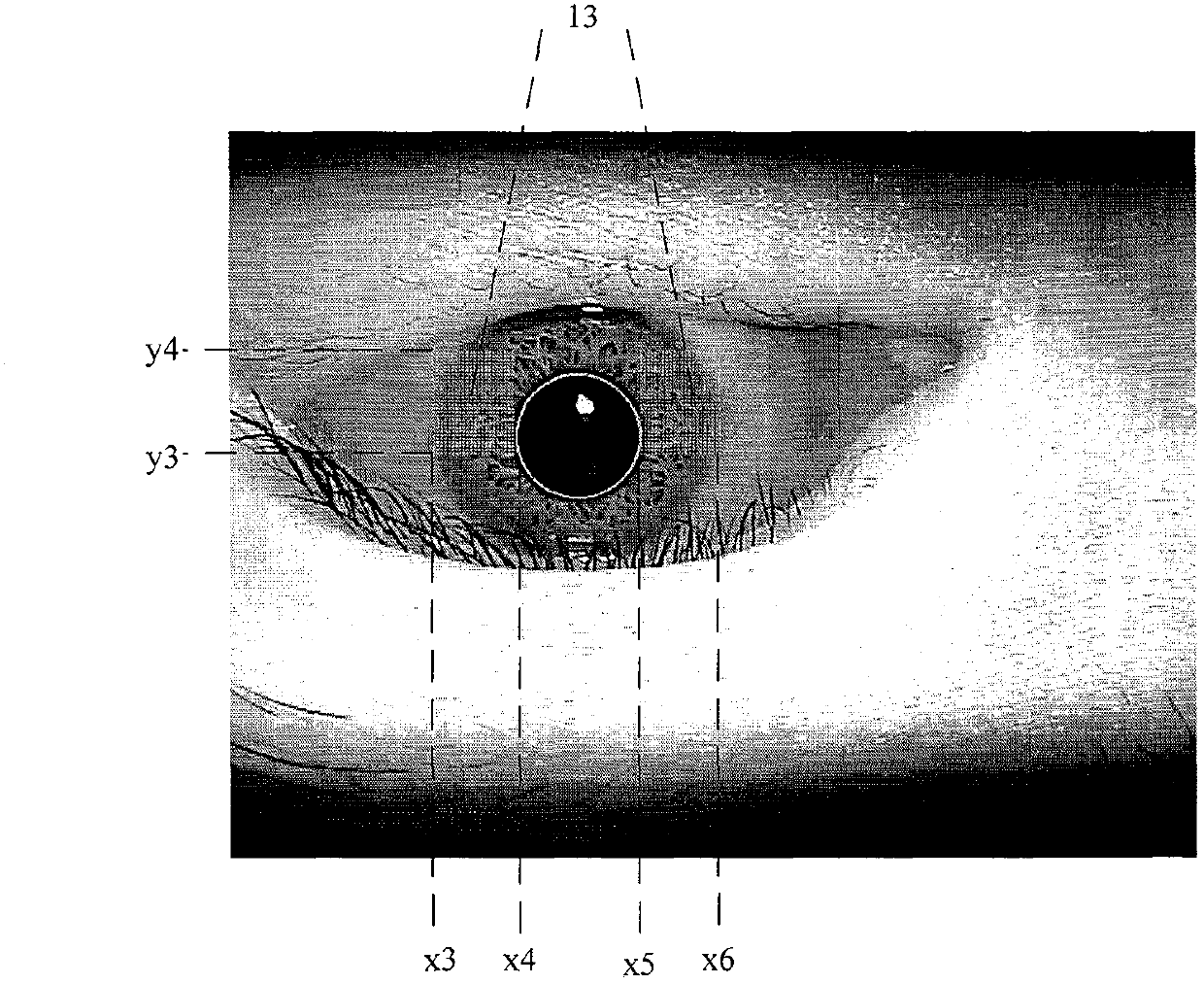 Rapid iris collecting, judging and controlling method for iris identification