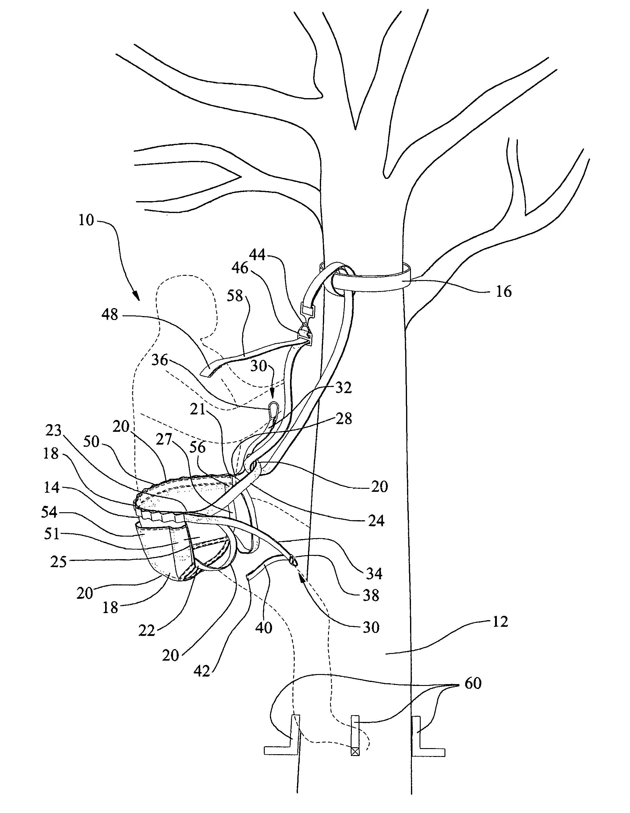 Support harness