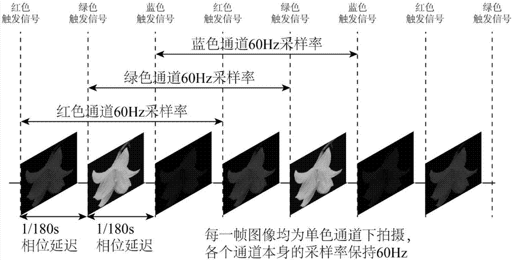 Field order display camera system based on motion compensation