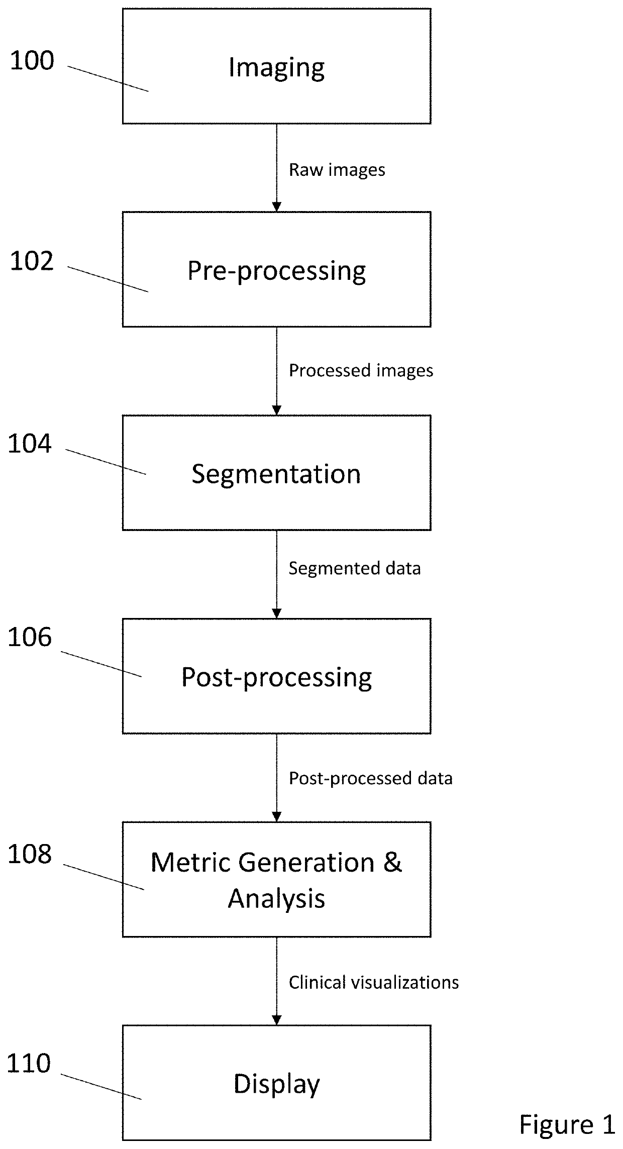 3D analysis with optical coherence tomography images