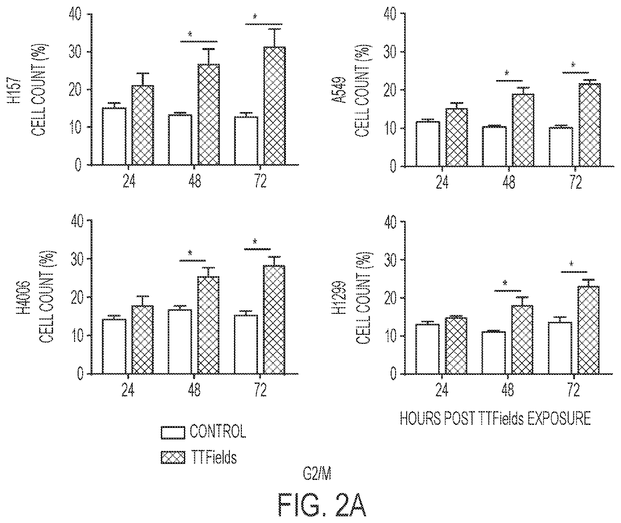 Treating Tumors Using TTFields Combined with a PARP Inhibitor