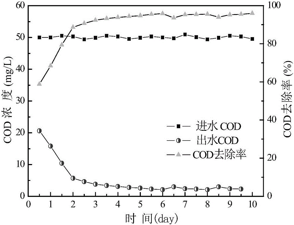 An ecological floating island with biofilm reaction function and water treatment method