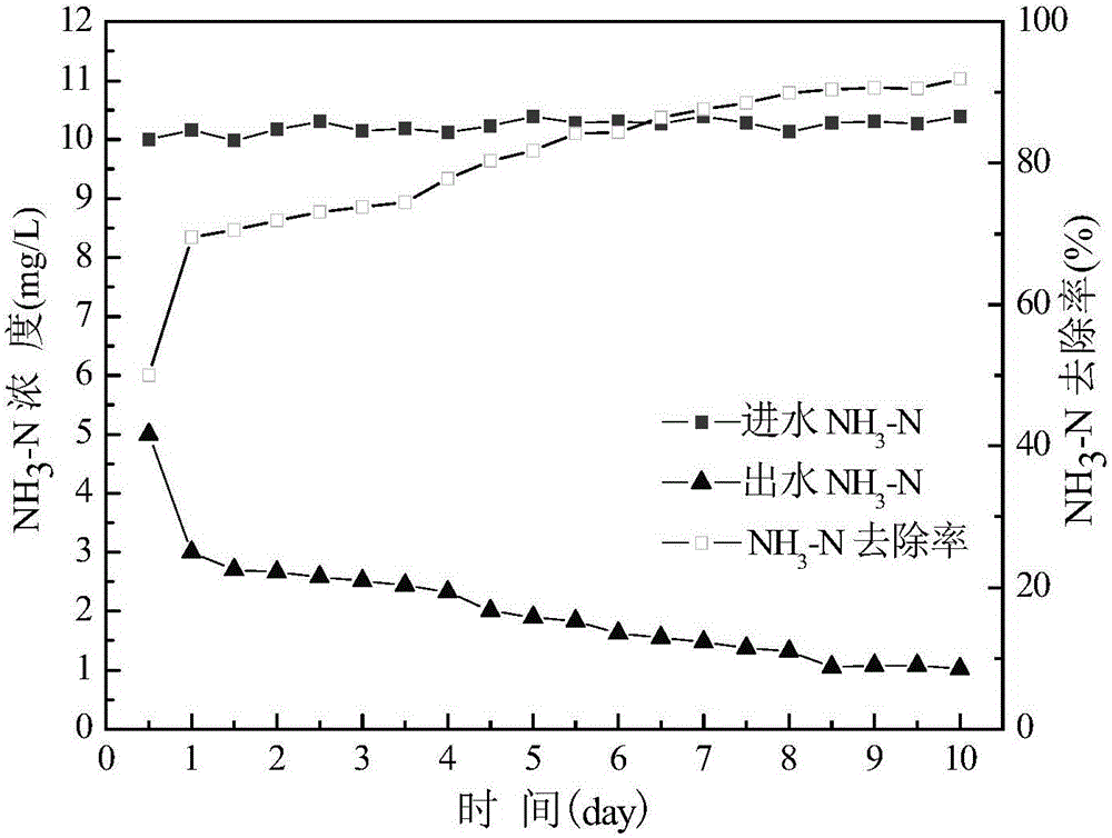 An ecological floating island with biofilm reaction function and water treatment method