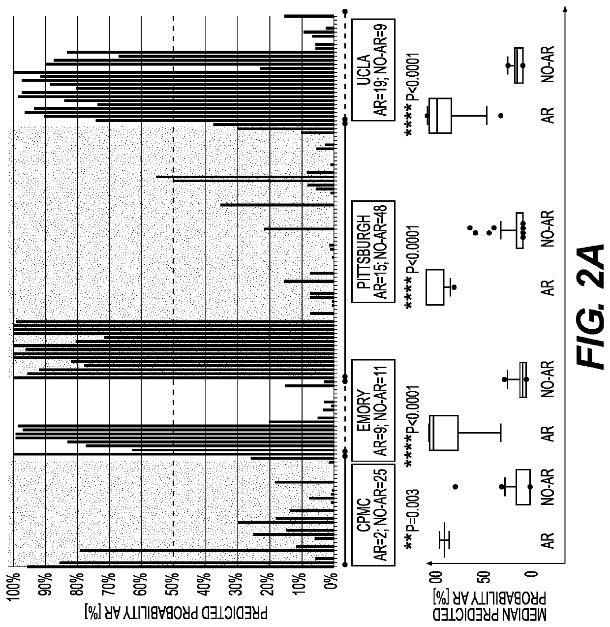 Compositions and methods for assessing acute rejection in renal transplantation