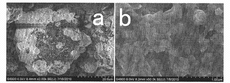 Method for preparing high-performance lithium iron phosphate / carbon anode material by microwave method