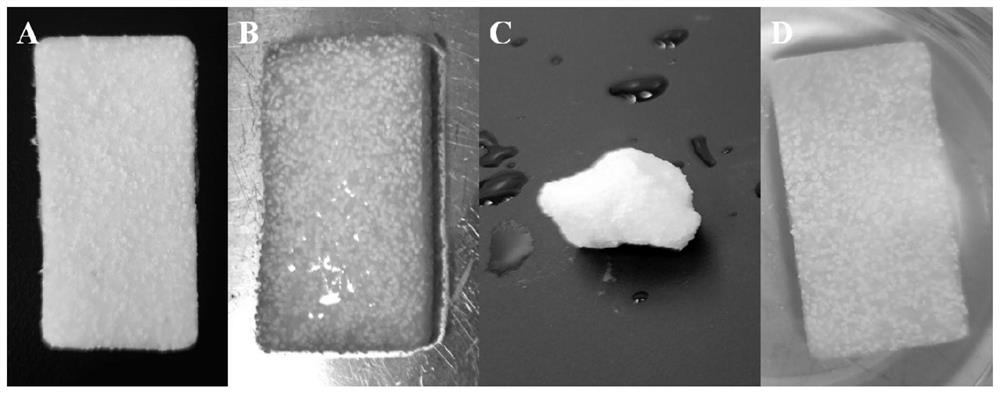 Collagen/biological ceramic porous bone implant and preparation method thereof