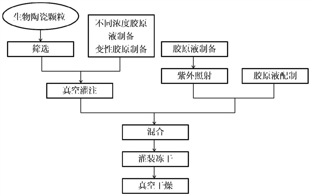 Collagen/biological ceramic porous bone implant and preparation method thereof