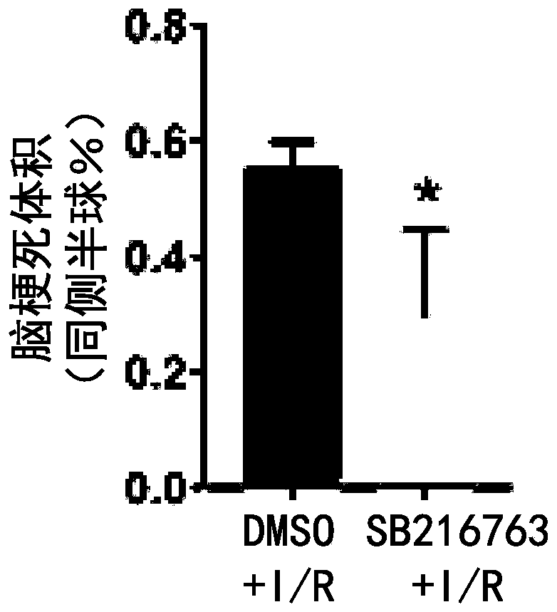 Application of compound SB216763 to preparing cerebrovascular disease preventing and/or treating drugs and pharmaceutical composition of compound SB216763