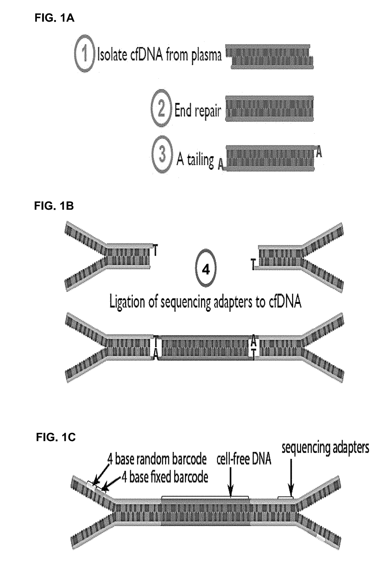 Identification and use of circulating nucleic acids