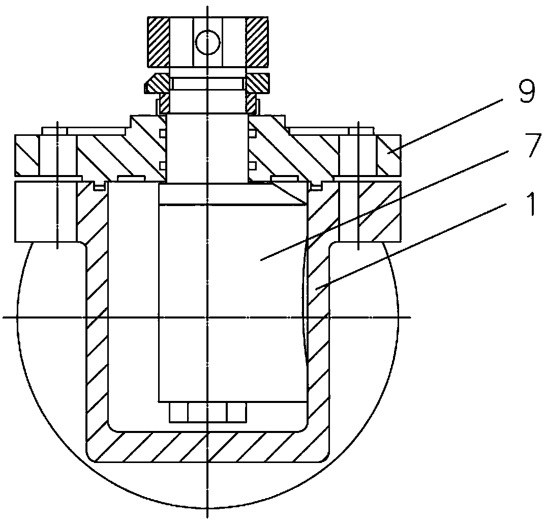 Double action type plug check valve