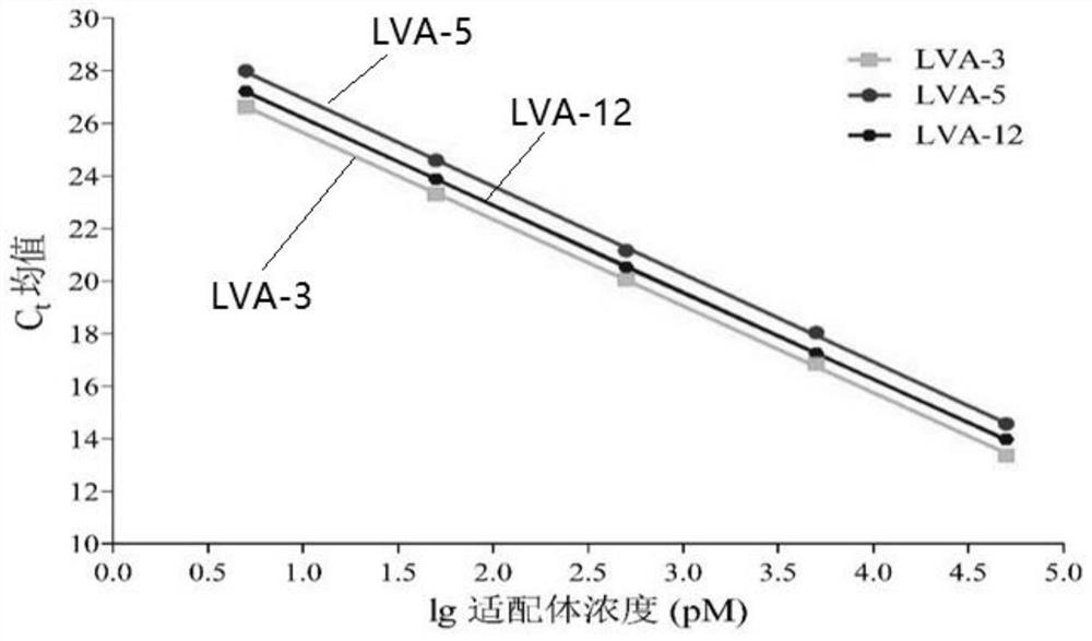 Oligonucleotide aptamer capable of specifically recognizing largemouth bass virus as well as screening method and application of oligonucleotide aptamer