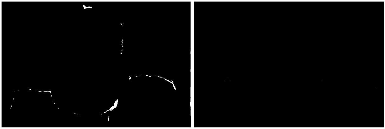 Recyclable preparation method of microporous iron-nitrogen-doped carbon catalyst material