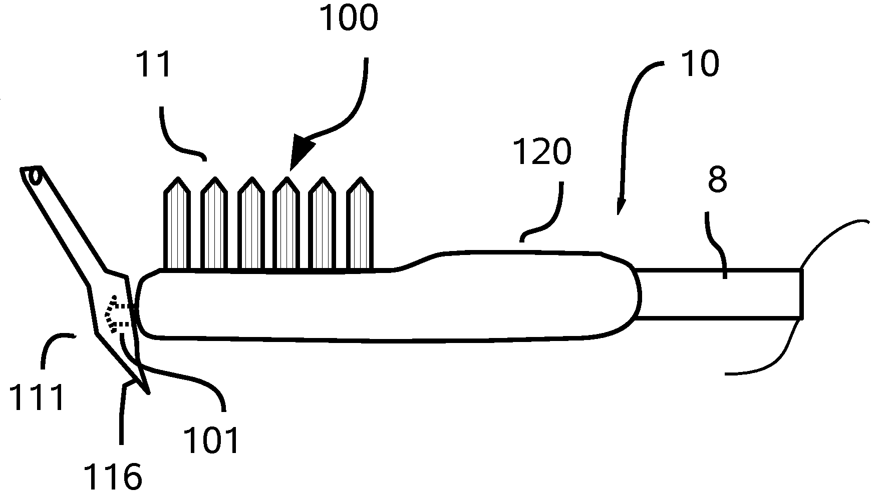 Flossing and Oral Hygiene Tool