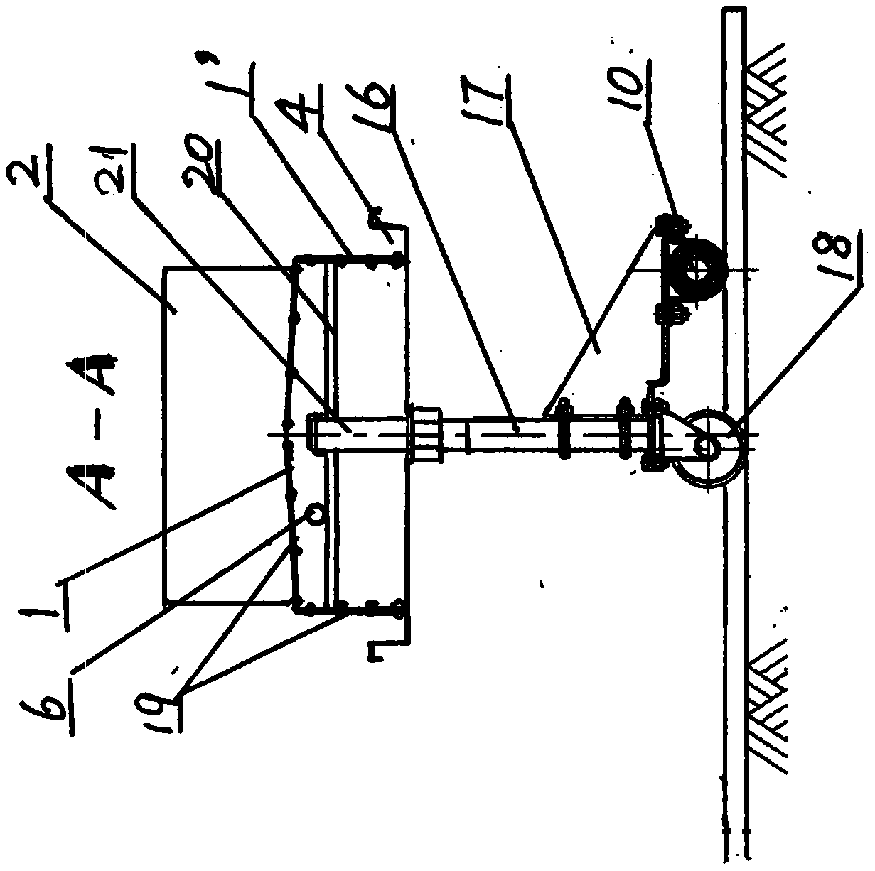 Moraceae plant planting groove