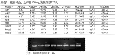 Method for direct extraction of nucleic acid without tissue grinding