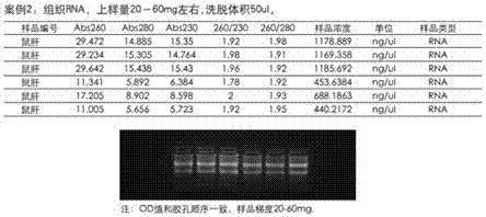 Method for direct extraction of nucleic acid without tissue grinding